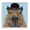 Stupell Industries Closeup Capybara with Hat Framed Giclee, design by Studio Bautista